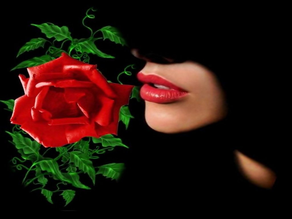 Red Rose Love Quotes Wallpapers - Quotes About Morning Red Roses In Urdu - HD Wallpaper 