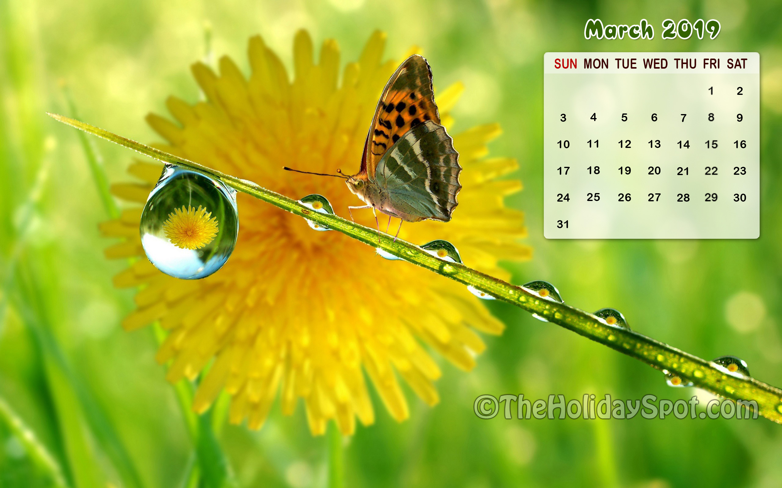Desktop Calendar March 2019 - HD Wallpaper 