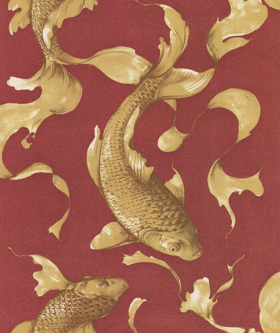Quality Wallpaper Supplier, Unique Wallpaper Designs - Fish - HD Wallpaper 