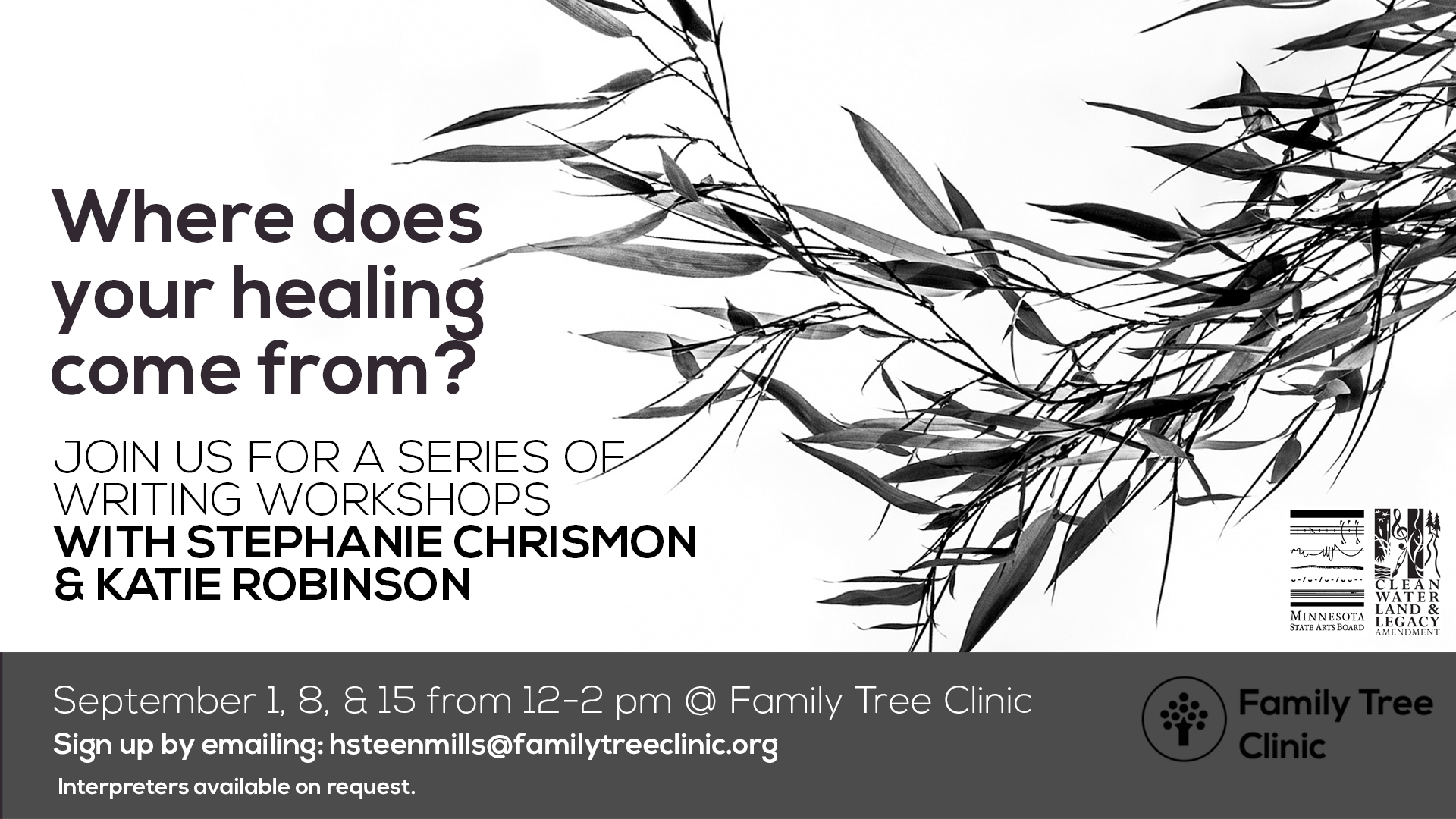 Flower - HD Wallpaper 