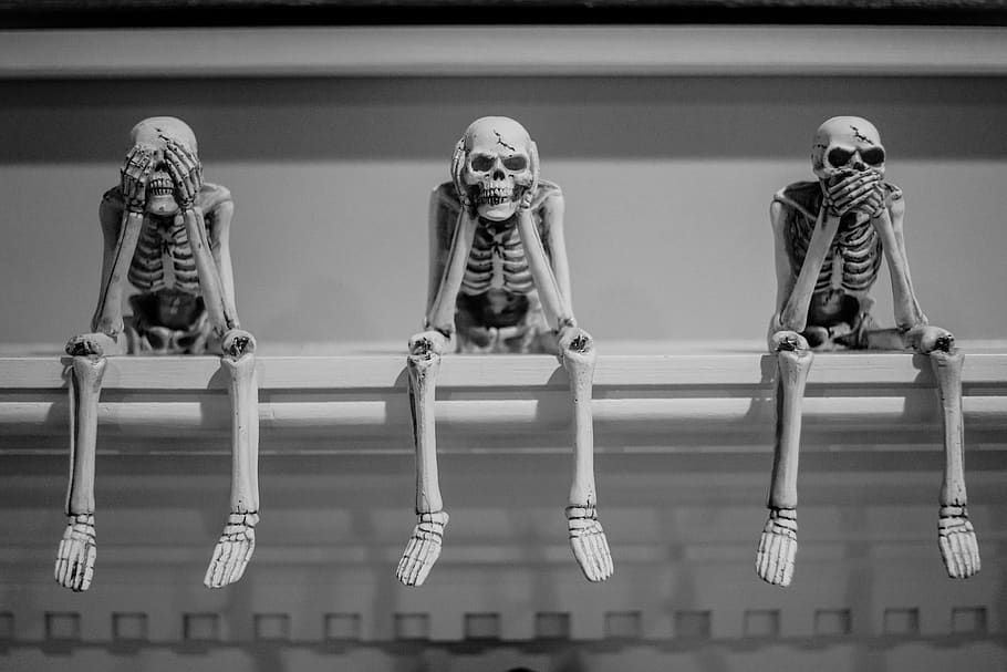 Three Wise Sitting Human Skeleton Figurines On White - Danielle Macinnes On Unsplash - HD Wallpaper 