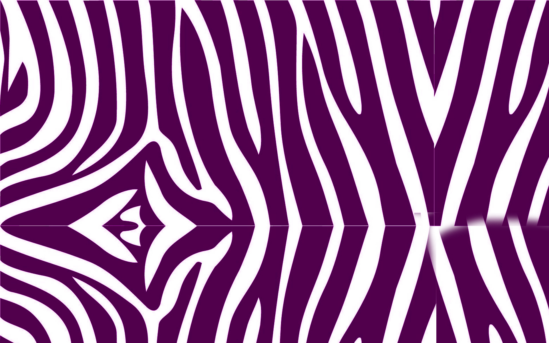Zebra Print - HD Wallpaper 