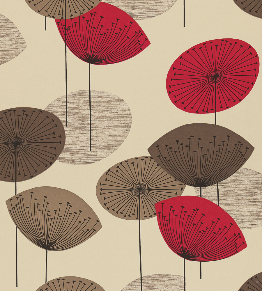 Dandilion Clocks Wall Paper - HD Wallpaper 