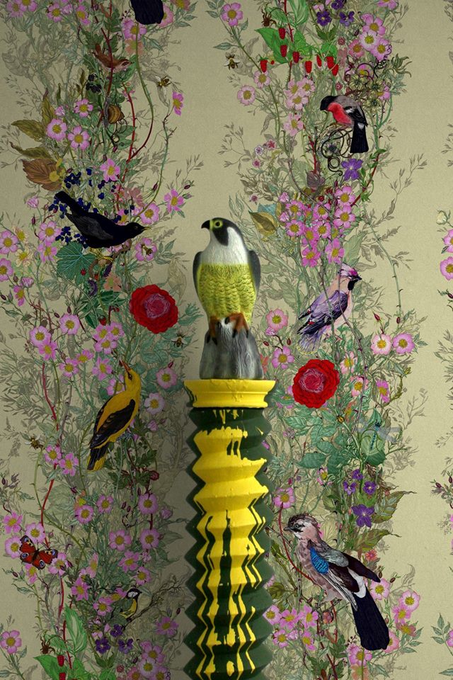 Fruit Looters 640x960 Wallpaper teahub.io