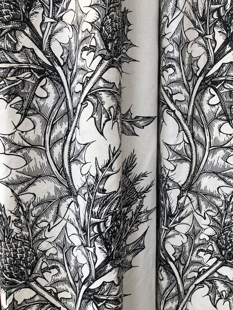 Timorous Beasties Thistle - HD Wallpaper 