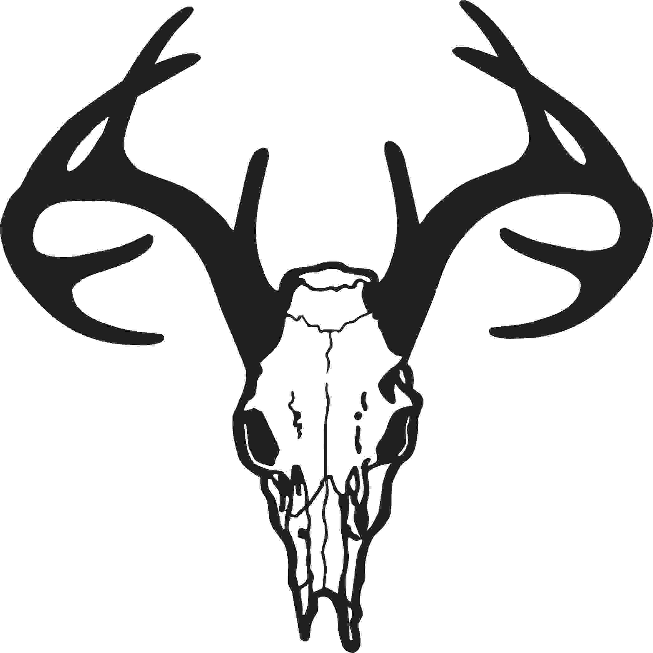 Deer Skull Drawing Free Clipart Images - Deer Skull Vector Png - HD Wallpaper 