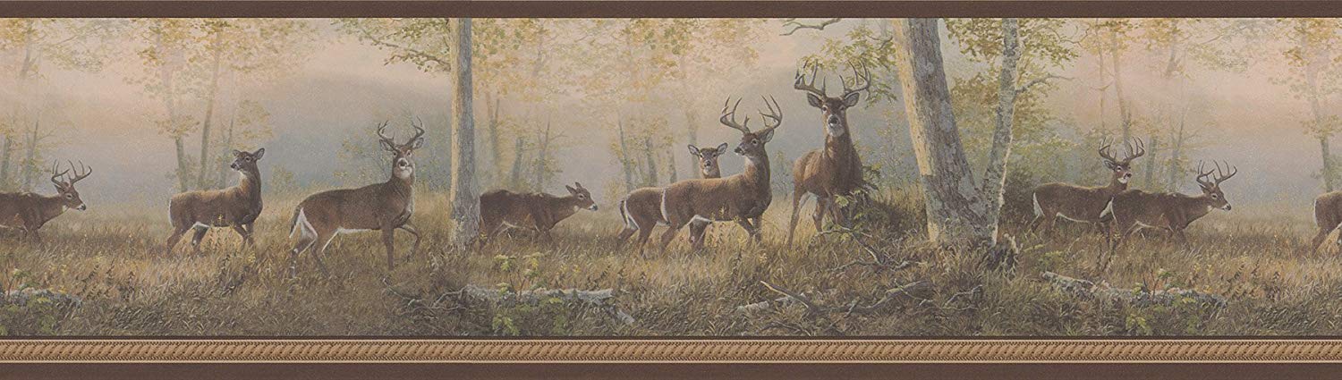 Deer Outdoor - HD Wallpaper 