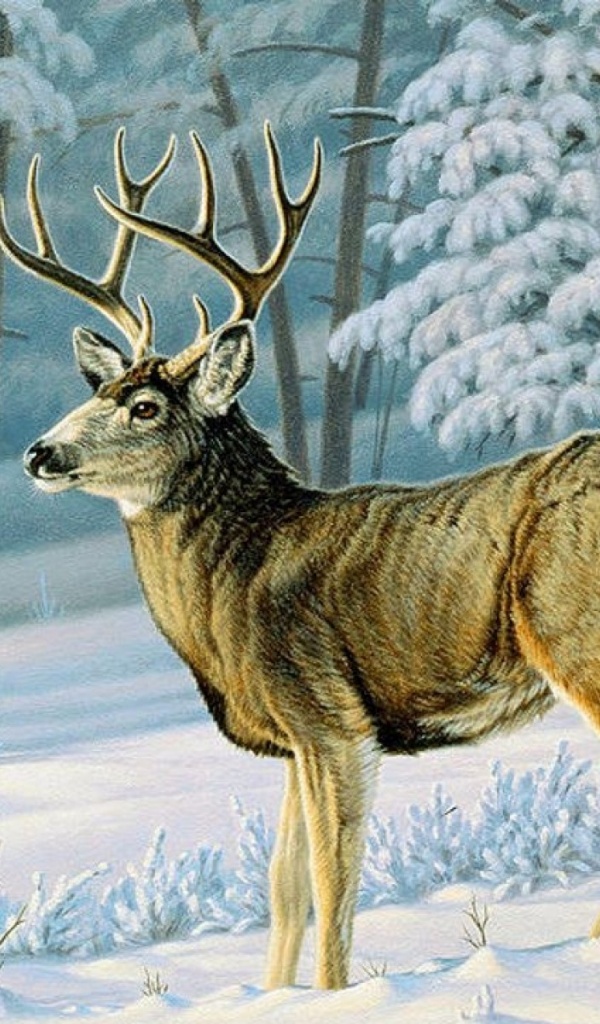 Nice Buck - HD Wallpaper 