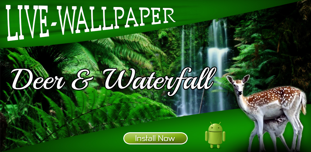 White-tailed Deer - HD Wallpaper 