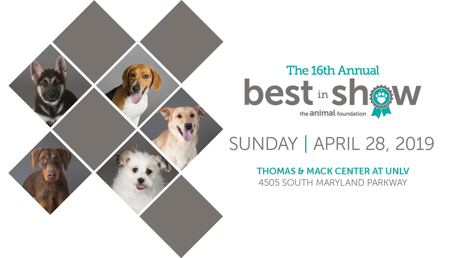 The Best Variety Of The 80s, 90s & Today - Animal Foundation Best In Show - HD Wallpaper 