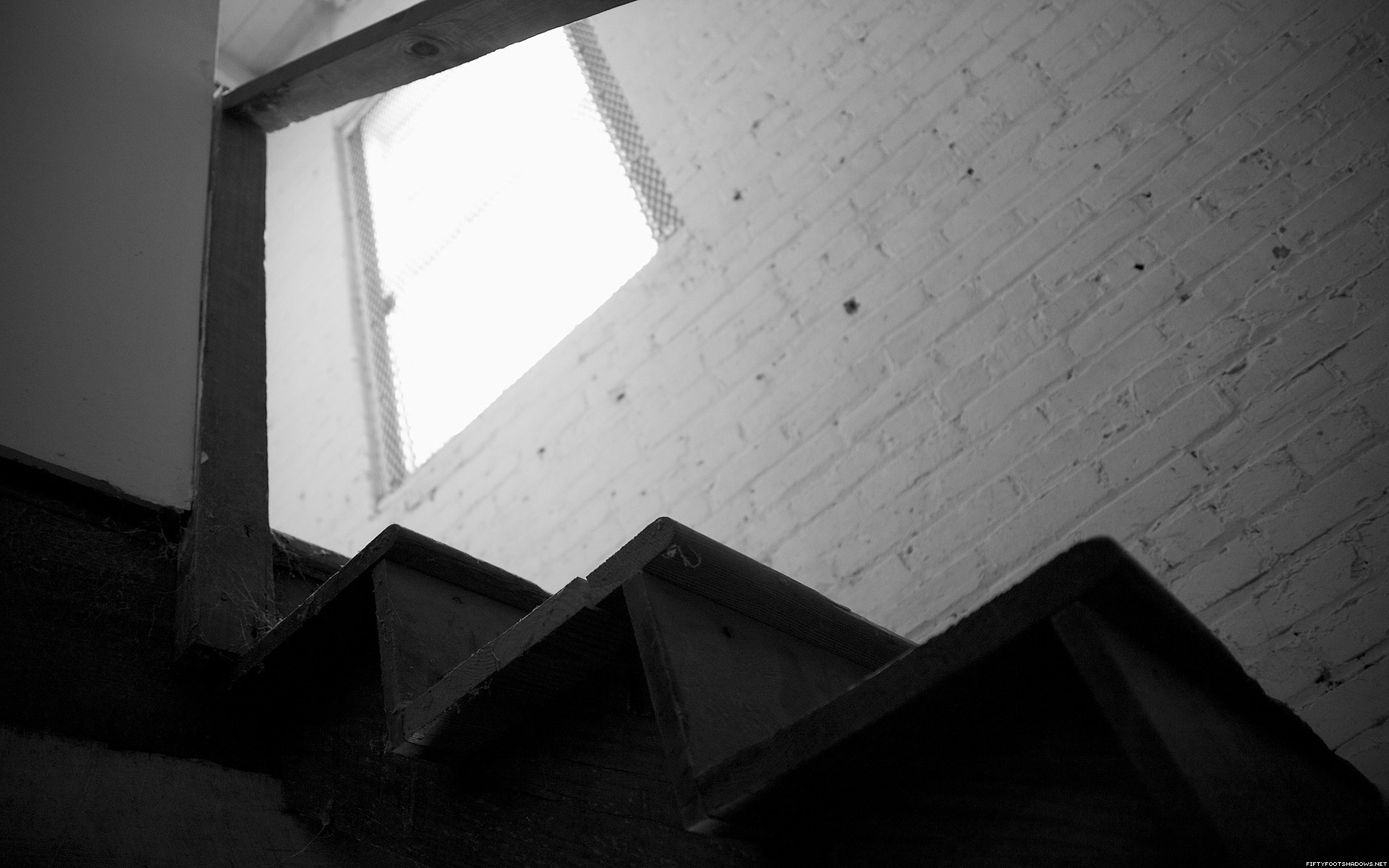 Wallpaper - HD Wallpaper 