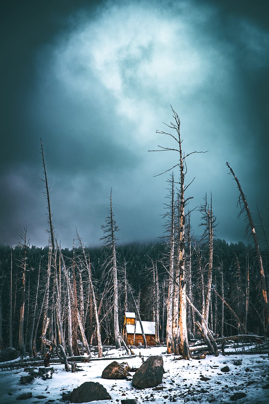 Yellow Barn Near Leafless Tree, Night, Star, Sky, Wanderlust, - HD Wallpaper 