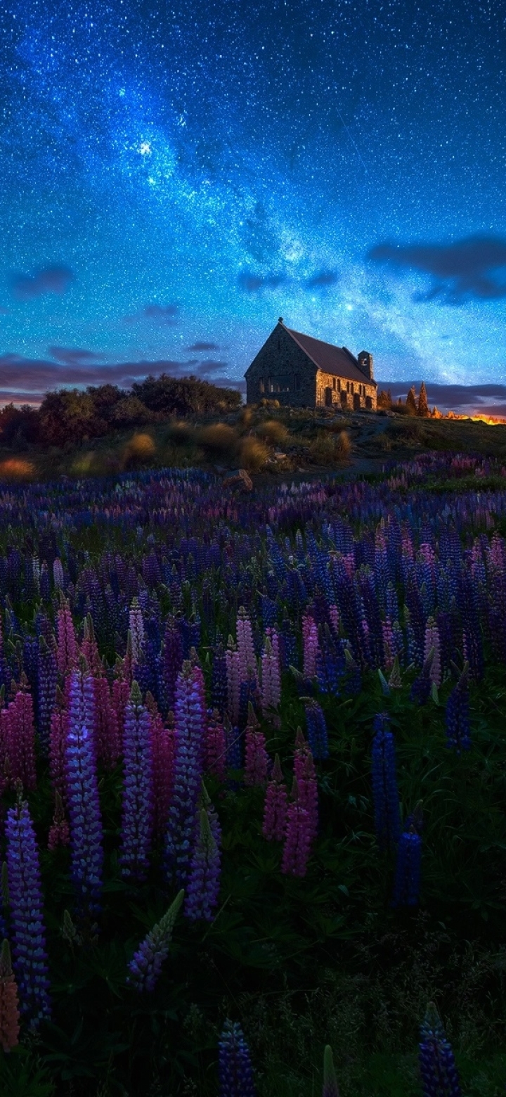 New Zealand Night Sky - HD Wallpaper 