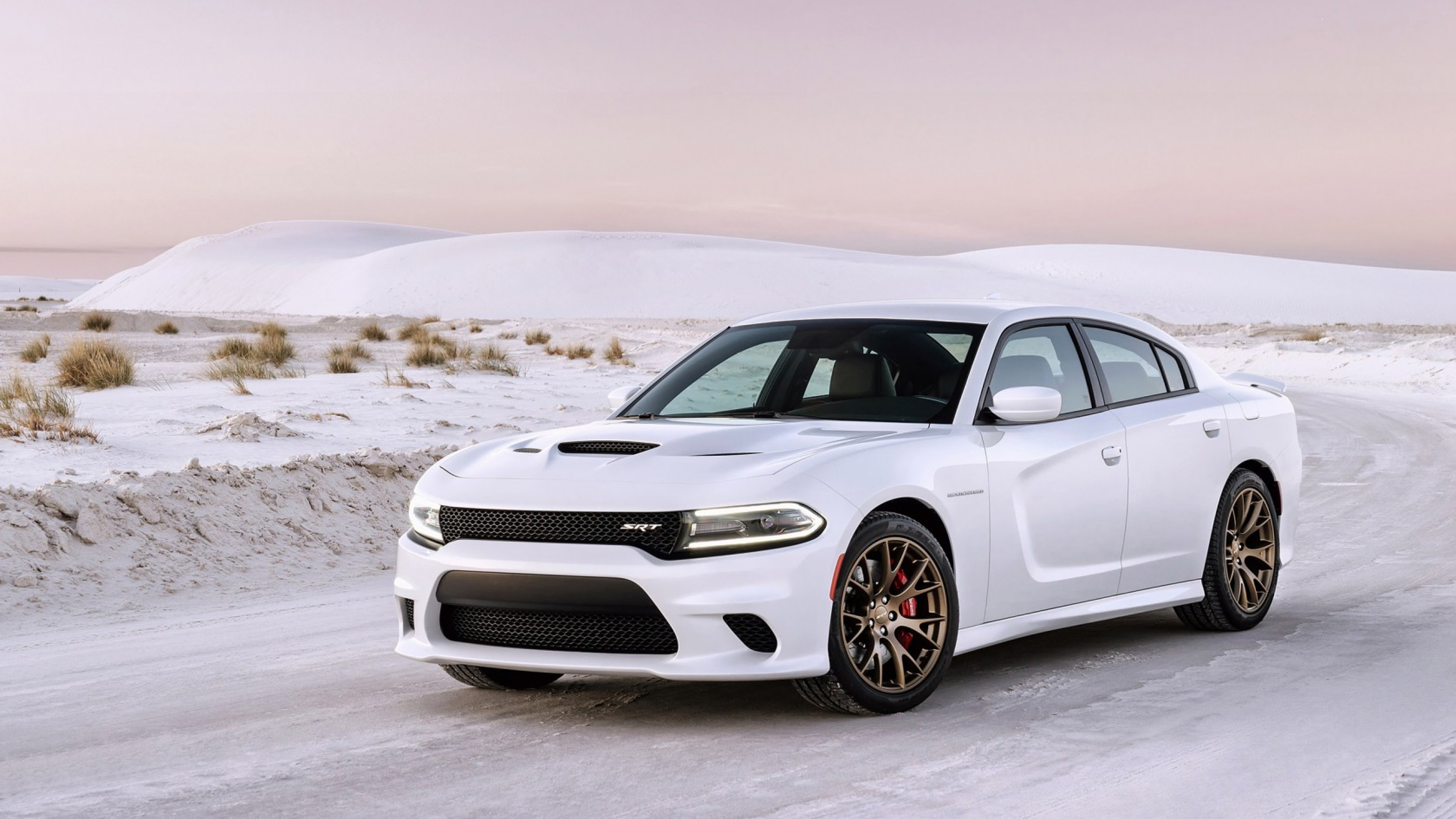 Preview Wallpaper 2015, Dodge, Charger, Srt, Hellcat - Dodge Charger Srt Hellcat - HD Wallpaper 