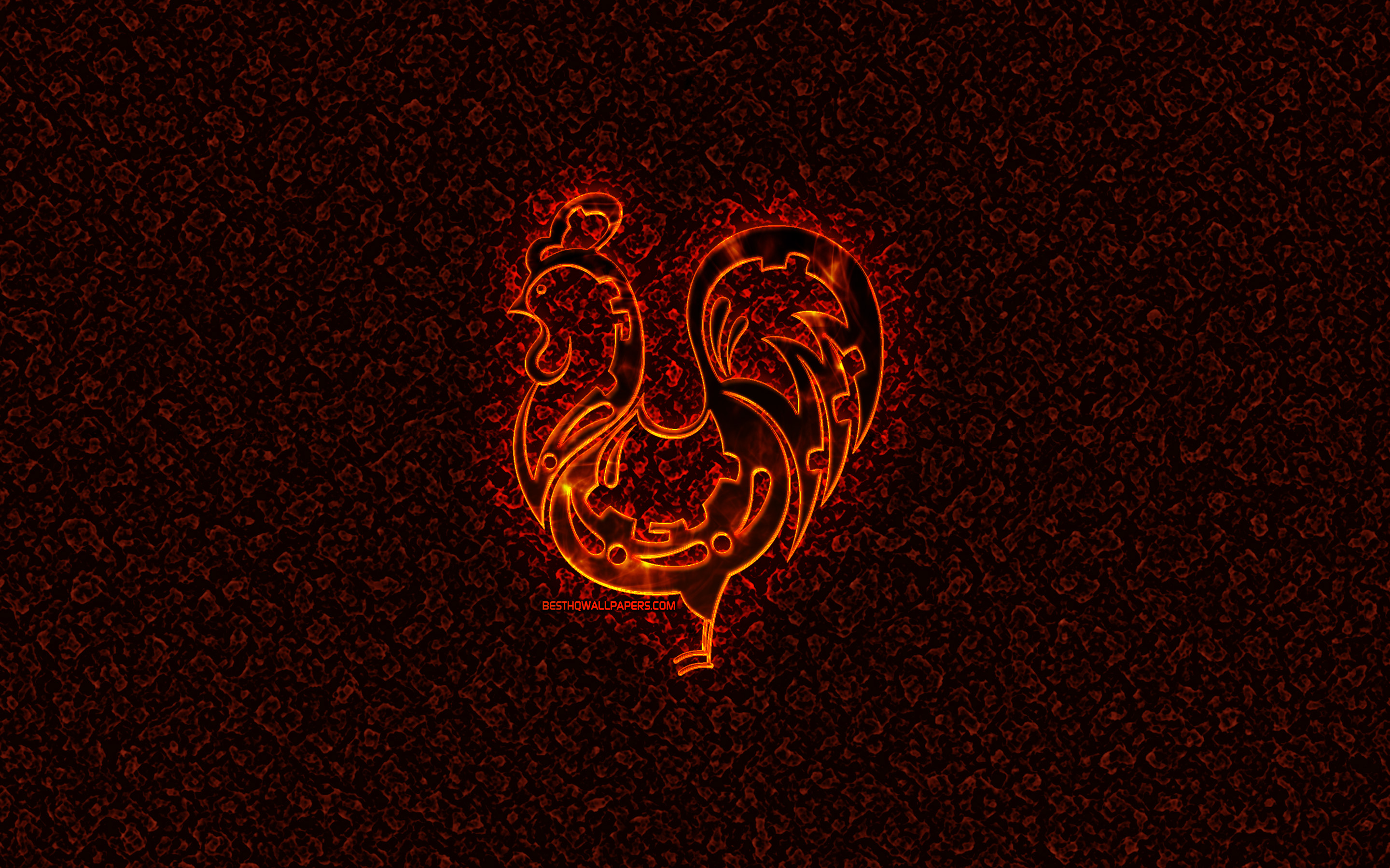 Rooster Zodiac, Chinese Zodiac, Burning Signs, Chinese - Darkness - HD Wallpaper 