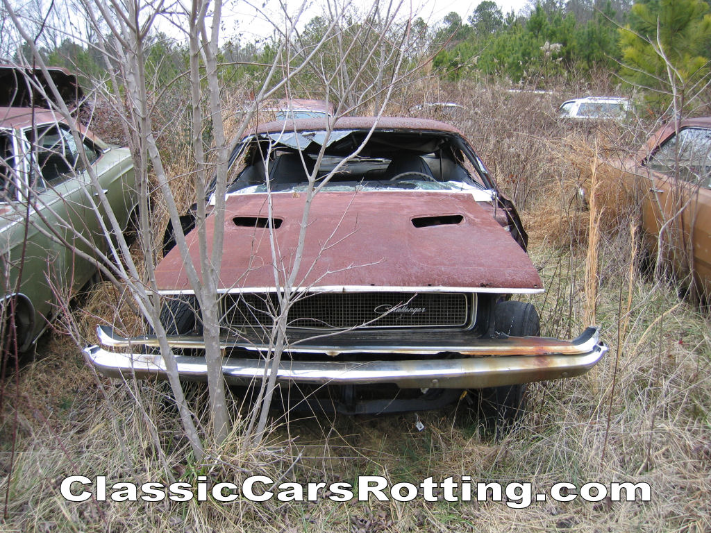 Junk 1970 Dodge Challenger For Sale - HD Wallpaper 