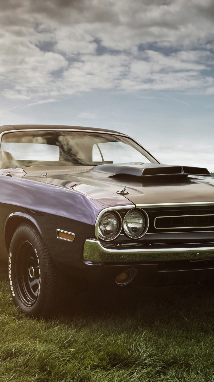 Dodge Challenger, Muscle Car, Landscape, Wallpaper - Car Wallpaper 4k Pc - HD Wallpaper 