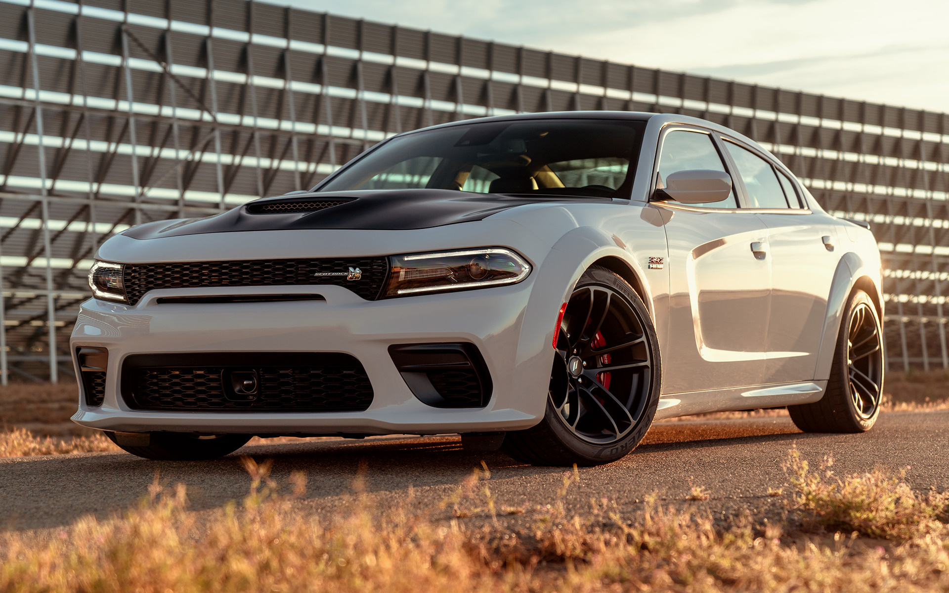 Dodge Charger Scat Pack Widebody - HD Wallpaper 