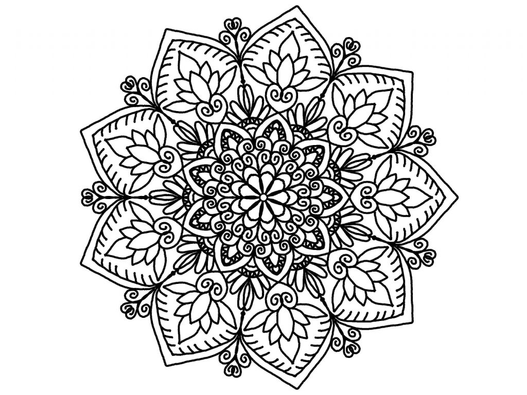 Line Art - HD Wallpaper 