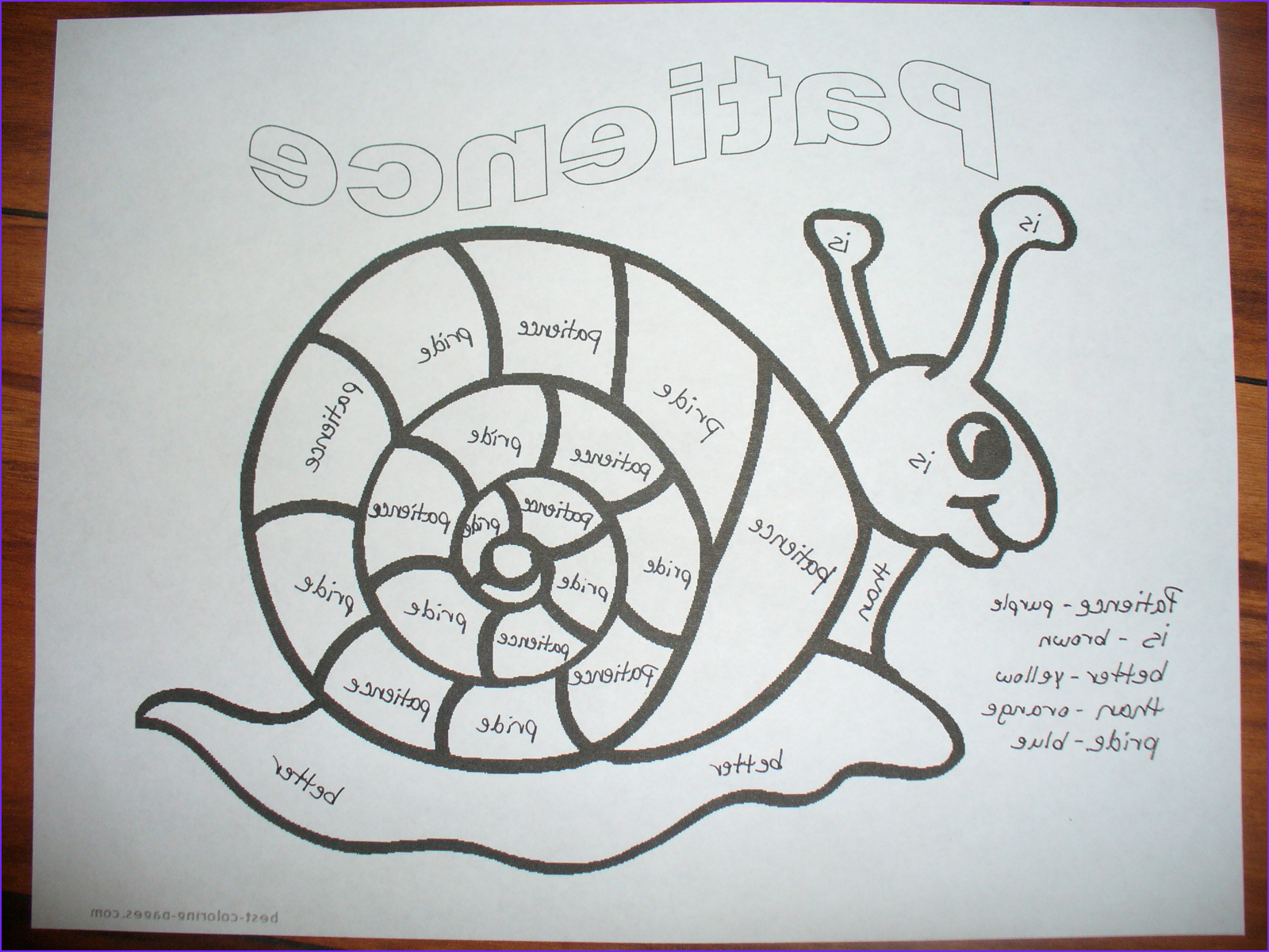 Patience Snail Coloring Page - HD Wallpaper 