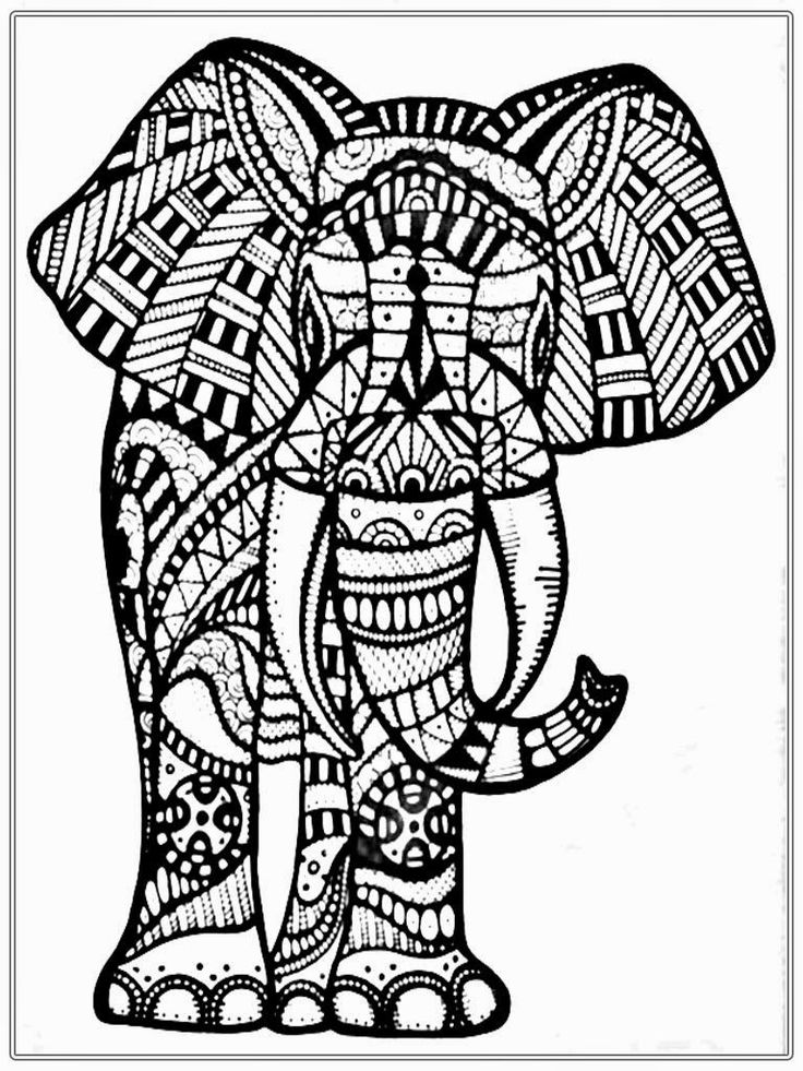 Images About Coloring Pages On Dover Tribal - Big Elephant Coloring Pages - HD Wallpaper 