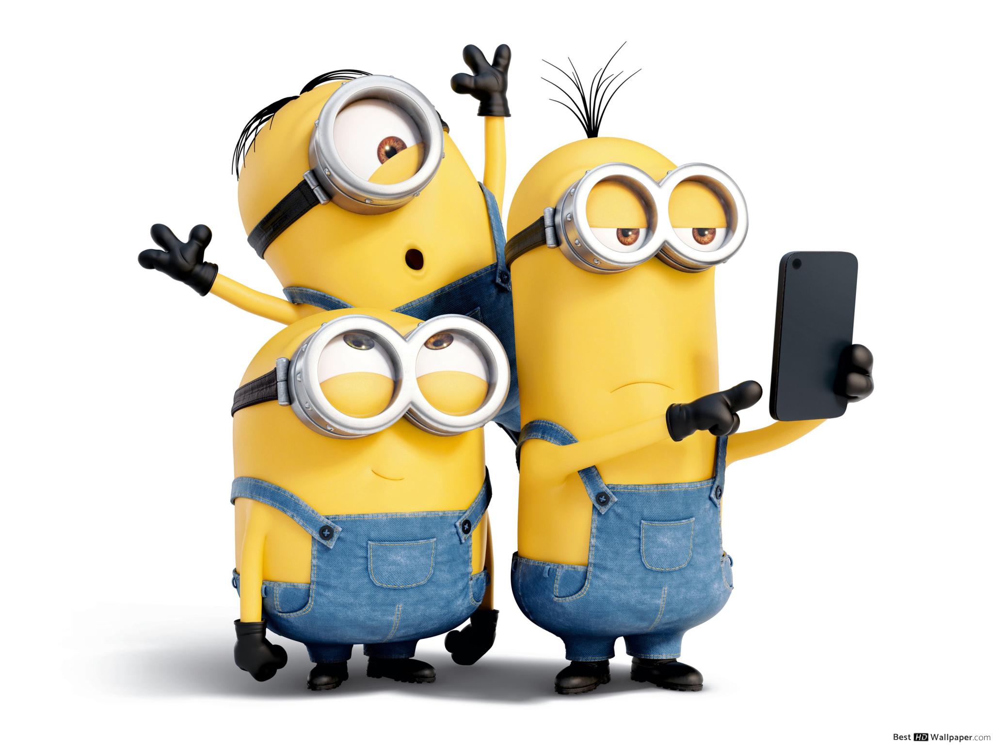 Minions Characters - HD Wallpaper 