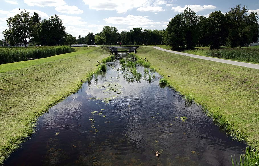 Channel, River, Ducks, Birds, Park, Water, Scrubs, - Canal Rio - HD Wallpaper 