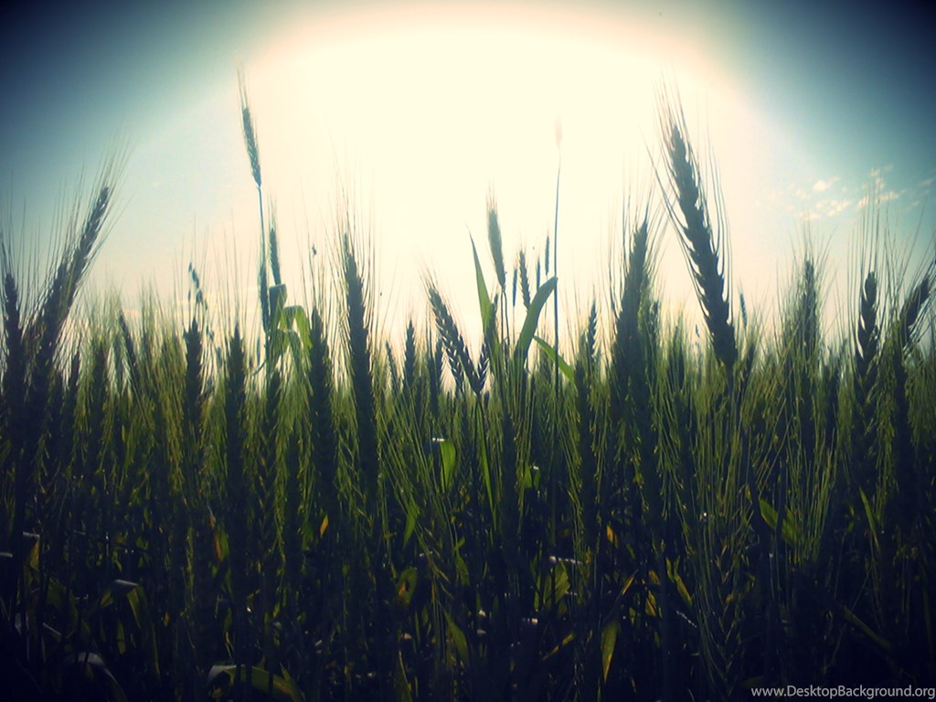 Hipster Wallpaper Phone - Hipster Computer Backgrounds - HD Wallpaper 