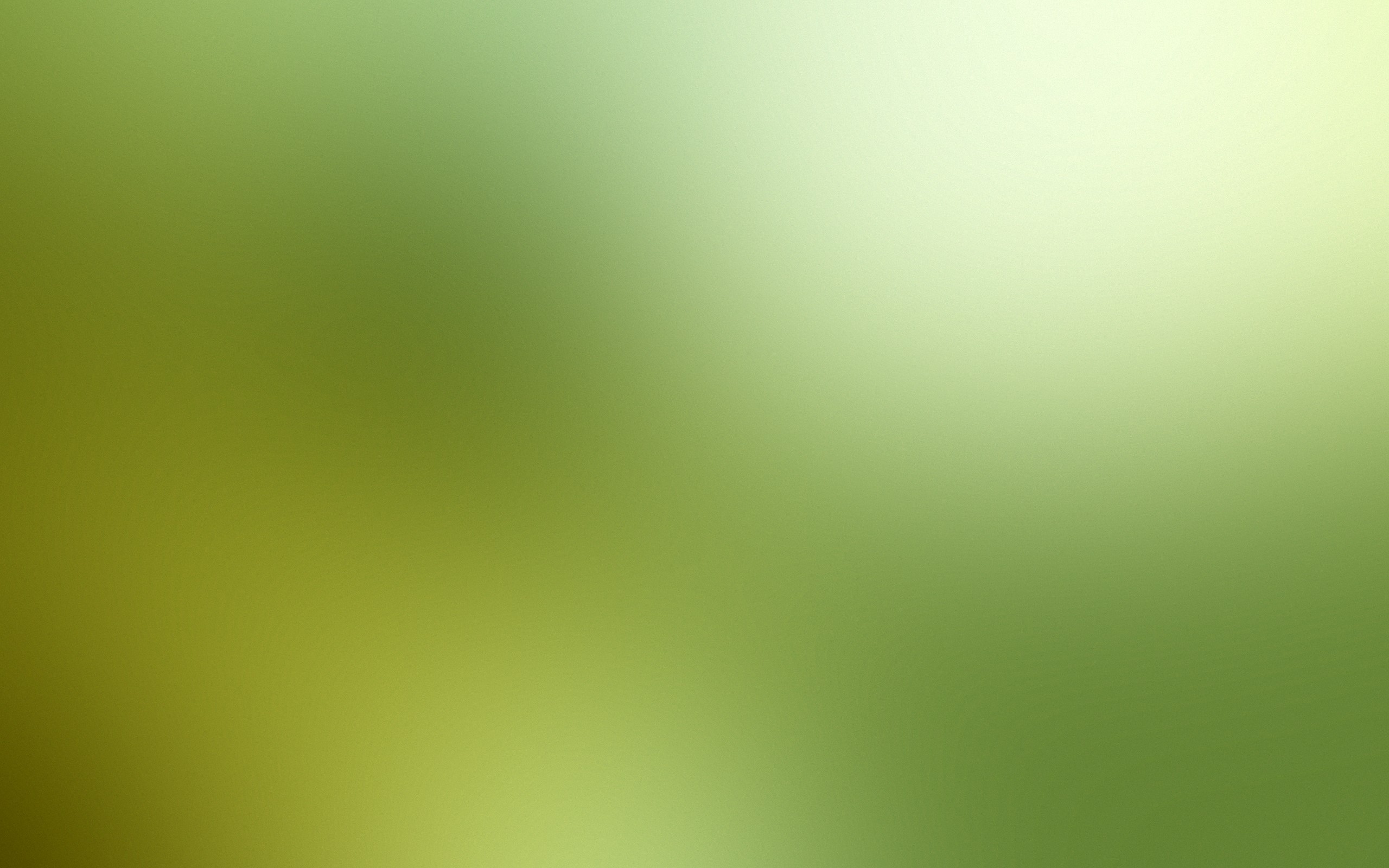 Blur Desktop Wallpapers - Gaussian Blur Background Green - 2560x1600  Wallpaper 