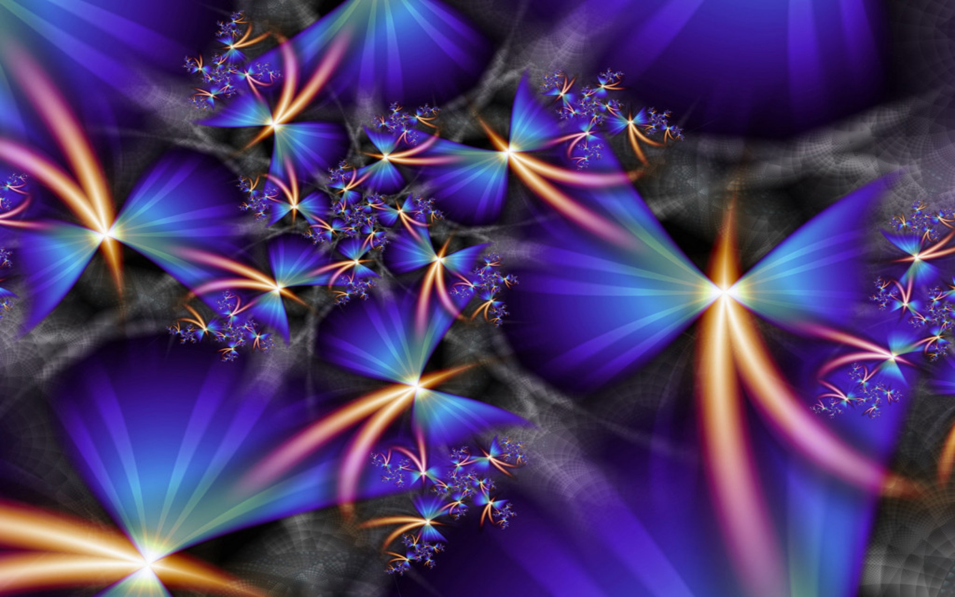 Birds Of Paradise - HD Wallpaper 