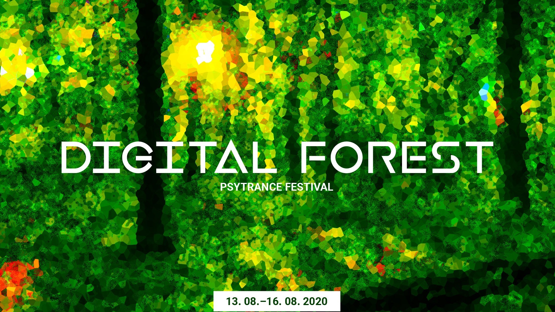 Psychedelic Trance Music Festival - Tree - HD Wallpaper 