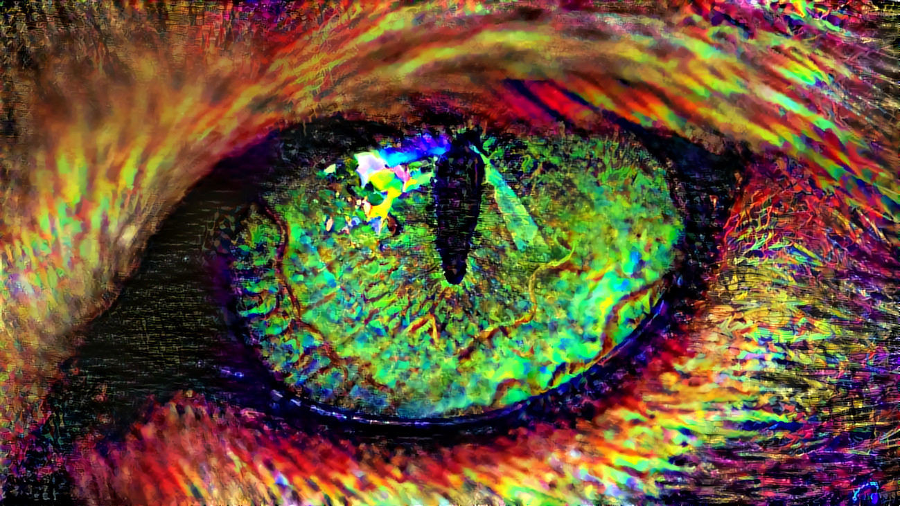 Close Up Cat Eyes - HD Wallpaper 