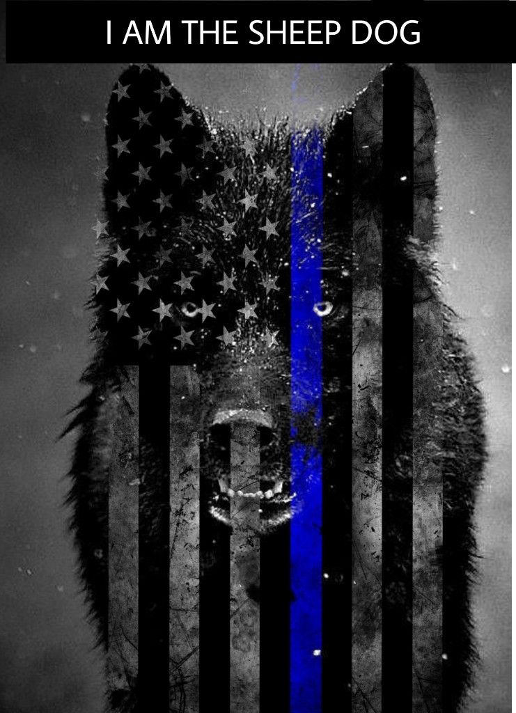 Thin Blue Line Wolf - HD Wallpaper 