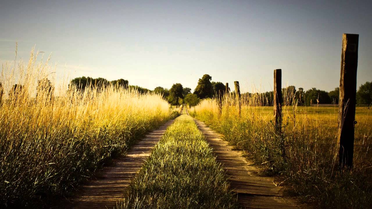 Alabama Country - HD Wallpaper 