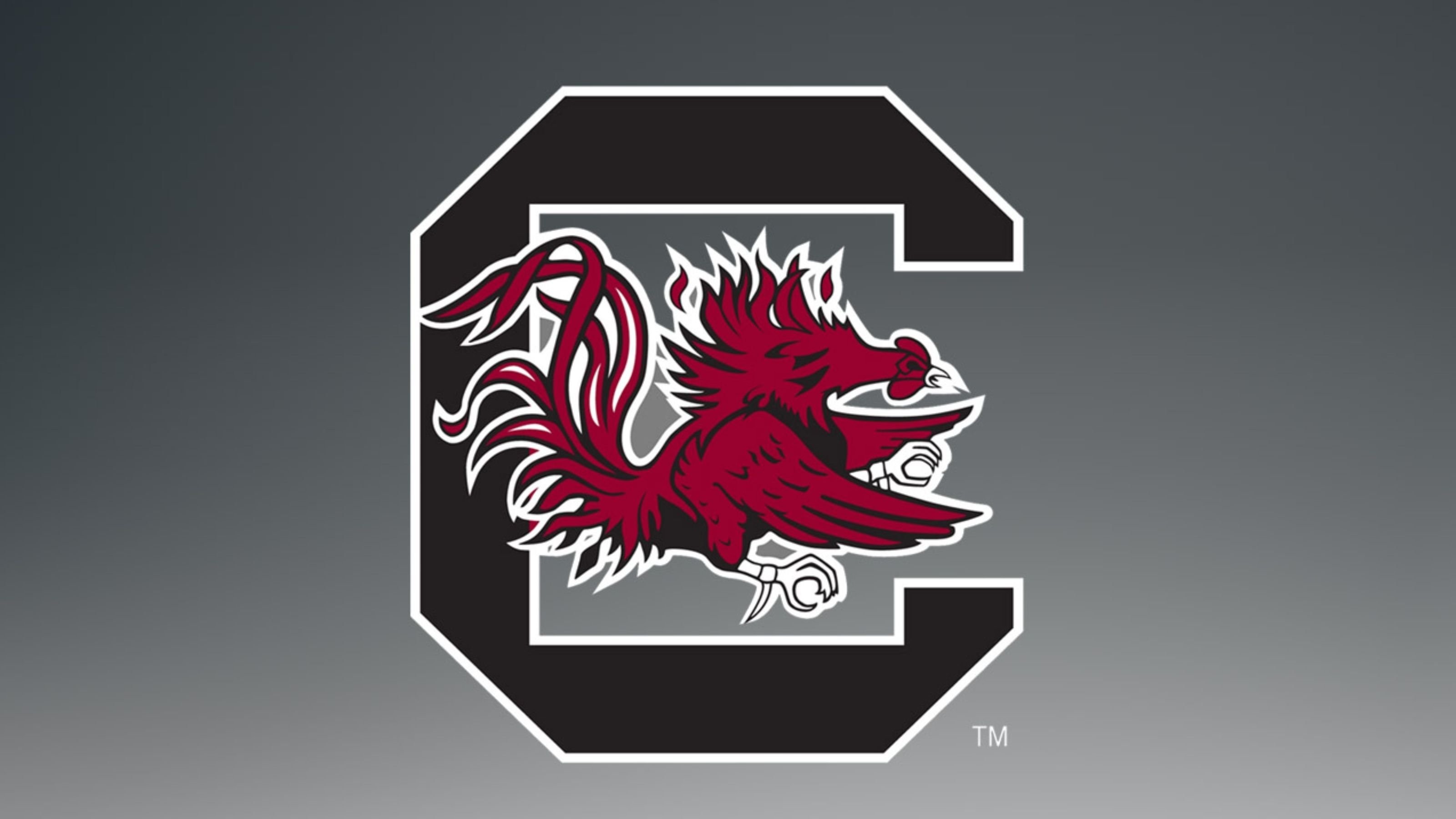 South Carolina Gamecocks College Football Wallpaper - South Carolina Gamecocks Desktop - HD Wallpaper 