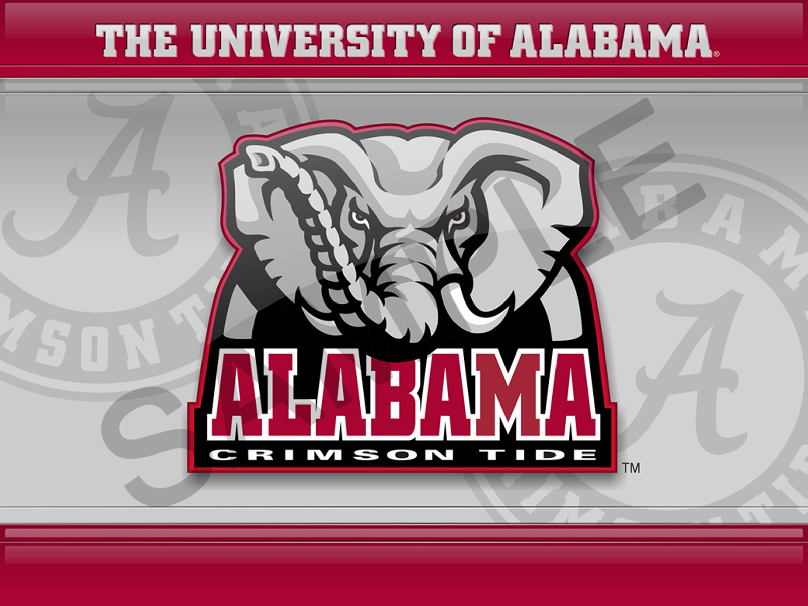 University Of Alabama - Alabama Crimson Tide - HD Wallpaper 