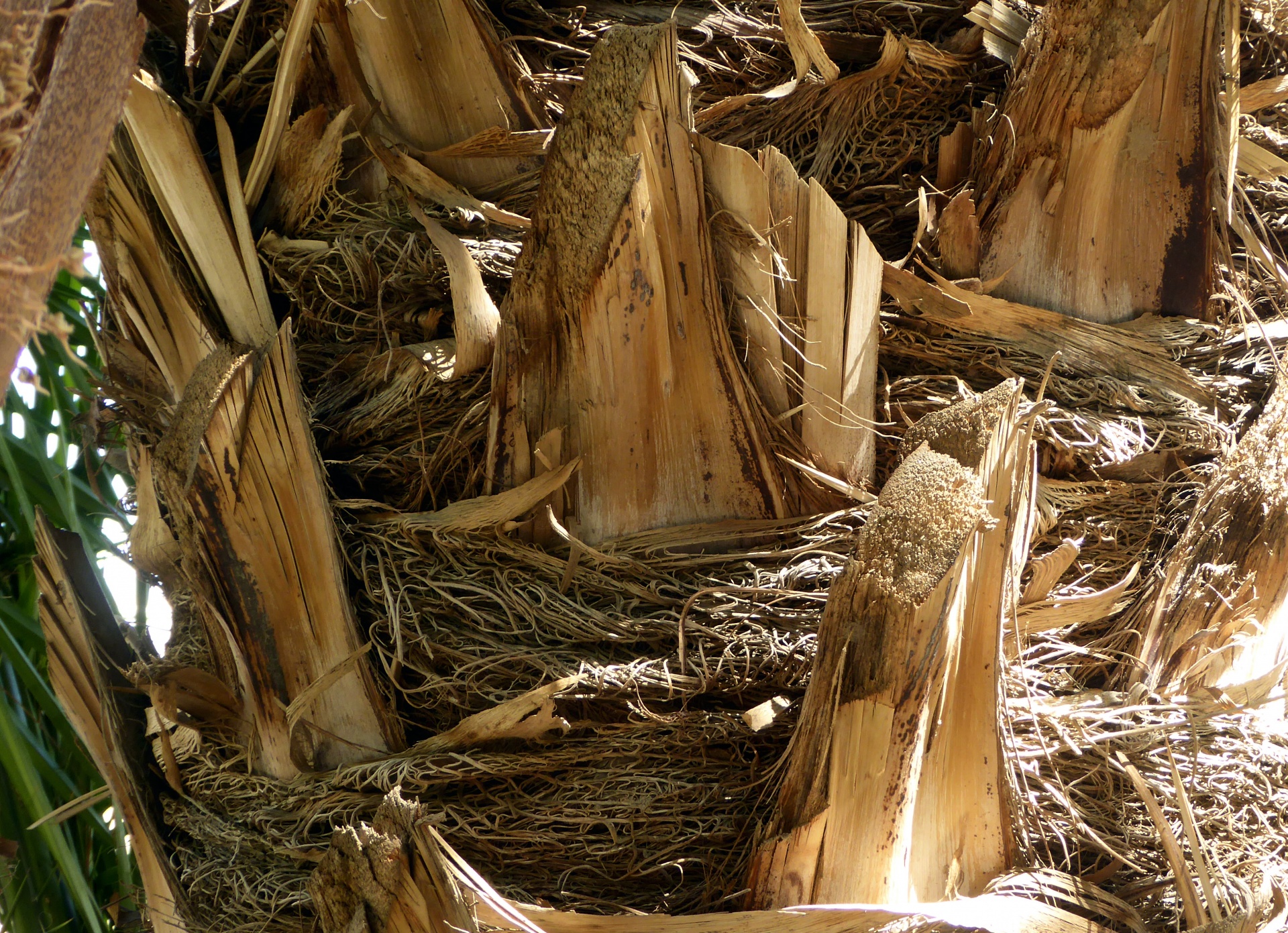 Background Wallpaper Bark Free Photo - Wood - 1920x1391 Wallpaper