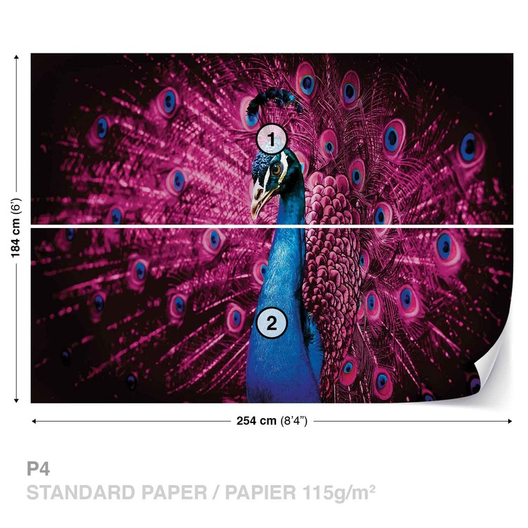 Peacock Bird Pink Feathers Wallpaper Mural - Peafowl - HD Wallpaper 