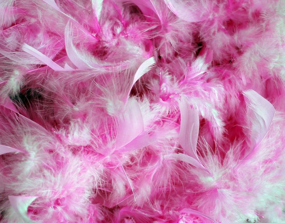 White And Pink Decorative Fur And Feather Preview - Pink Purple Feather Background - HD Wallpaper 