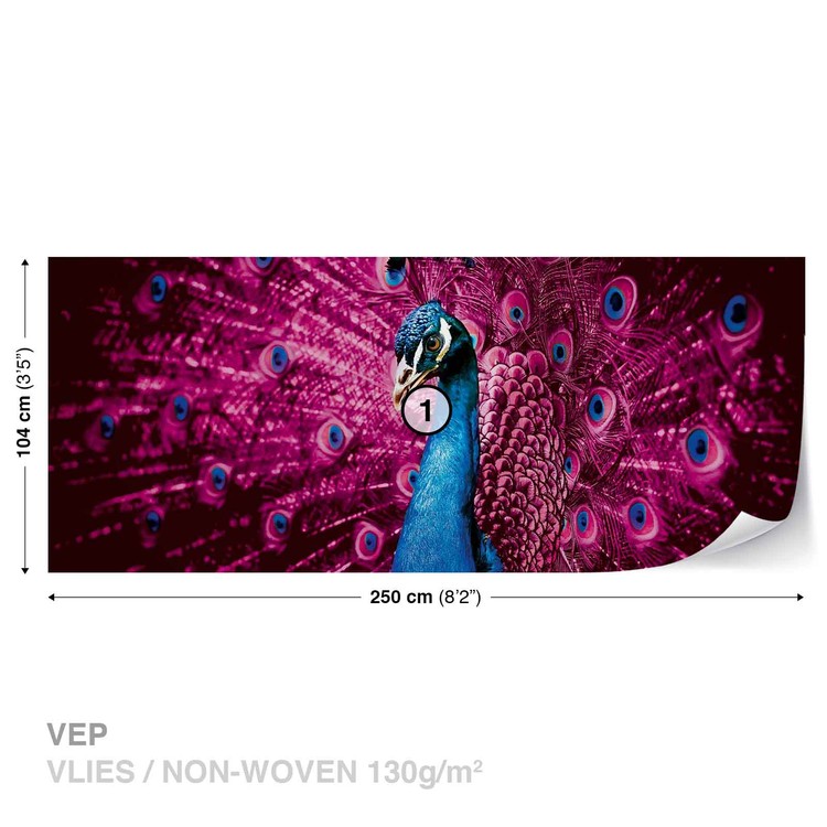 Peacock Bird Pink Feathers Wallpaper Mural - Wallpaper - HD Wallpaper 