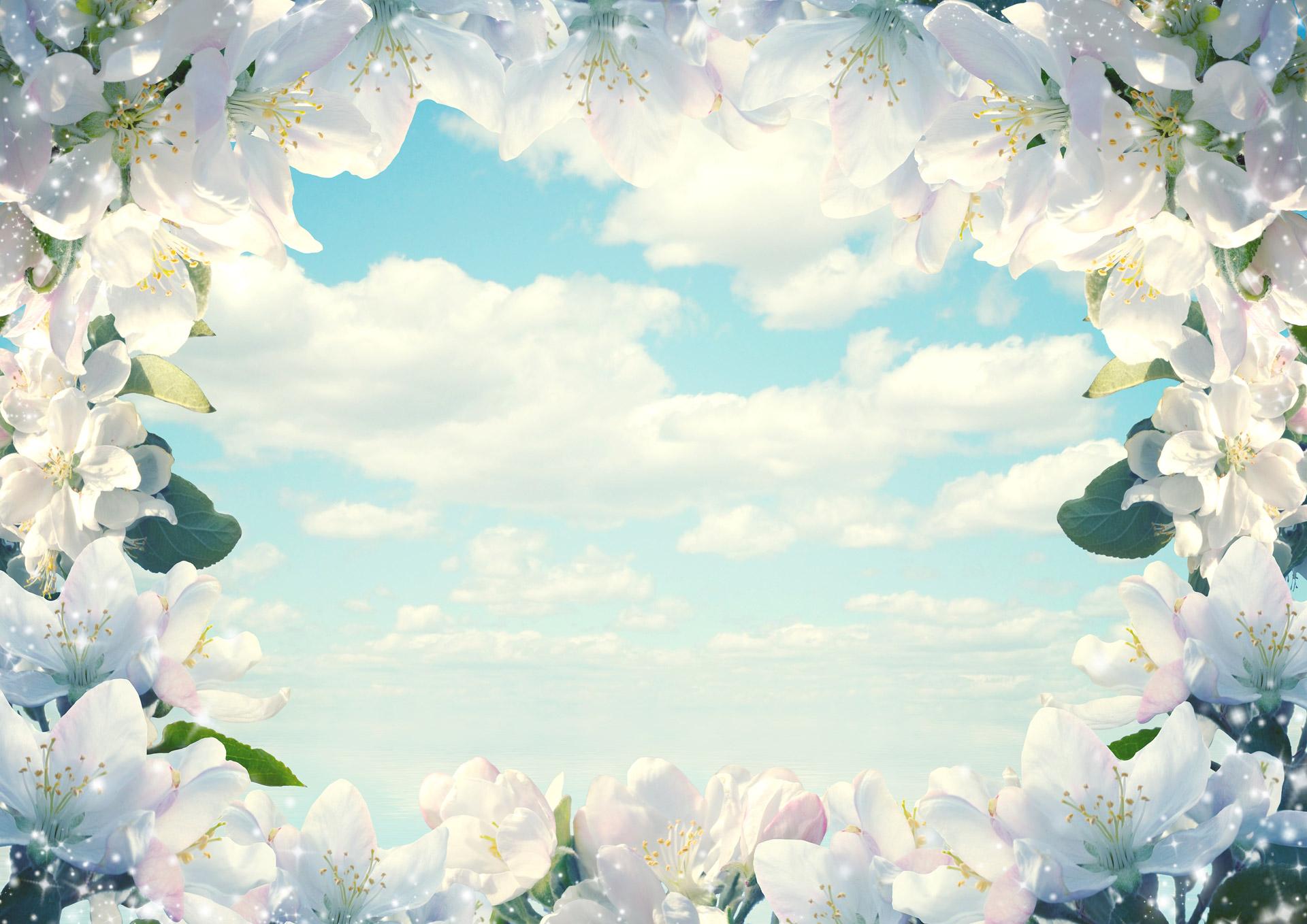 Frame Of Flowers - Nature Photo Frame Background - HD Wallpaper 