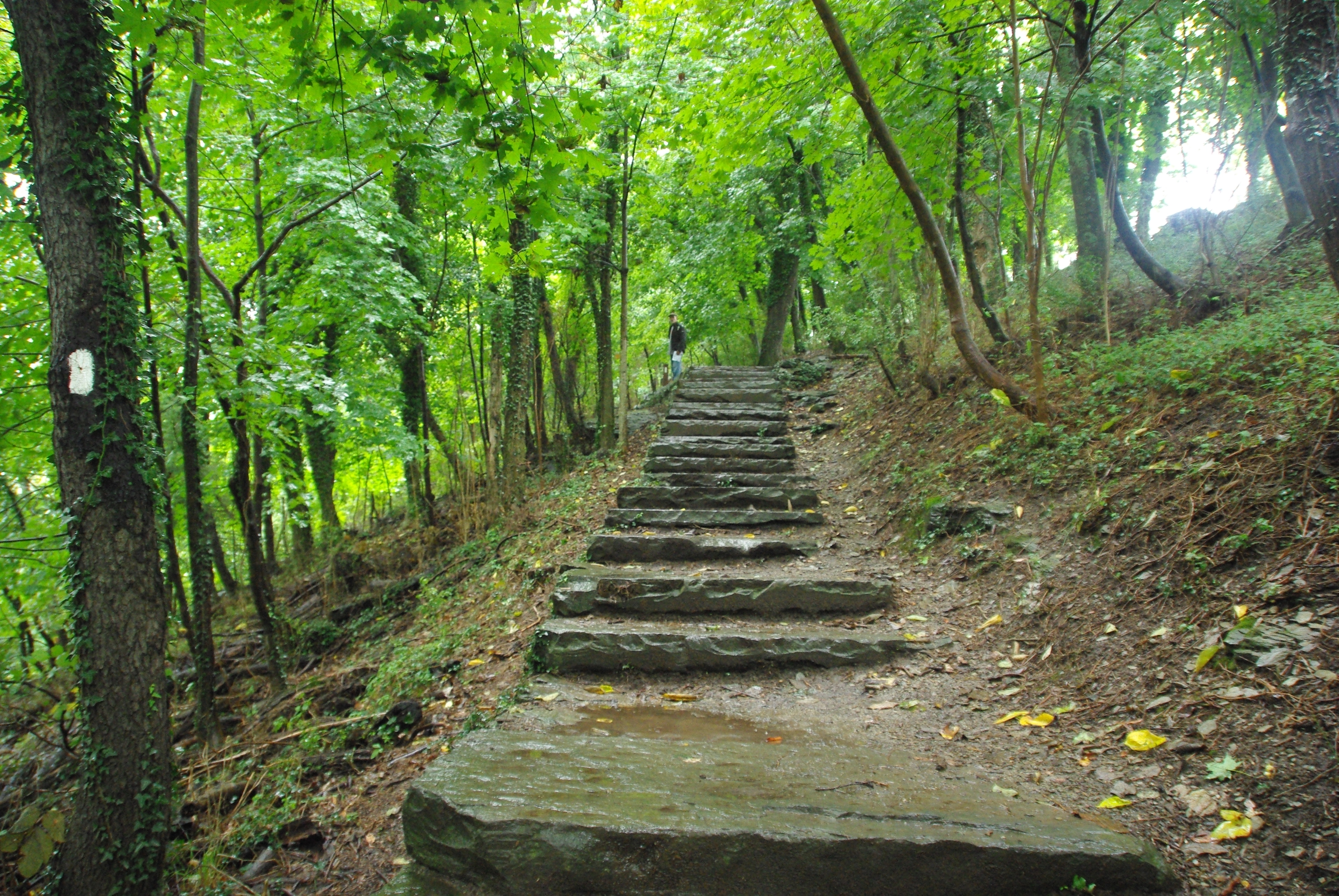 Trail - HD Wallpaper 