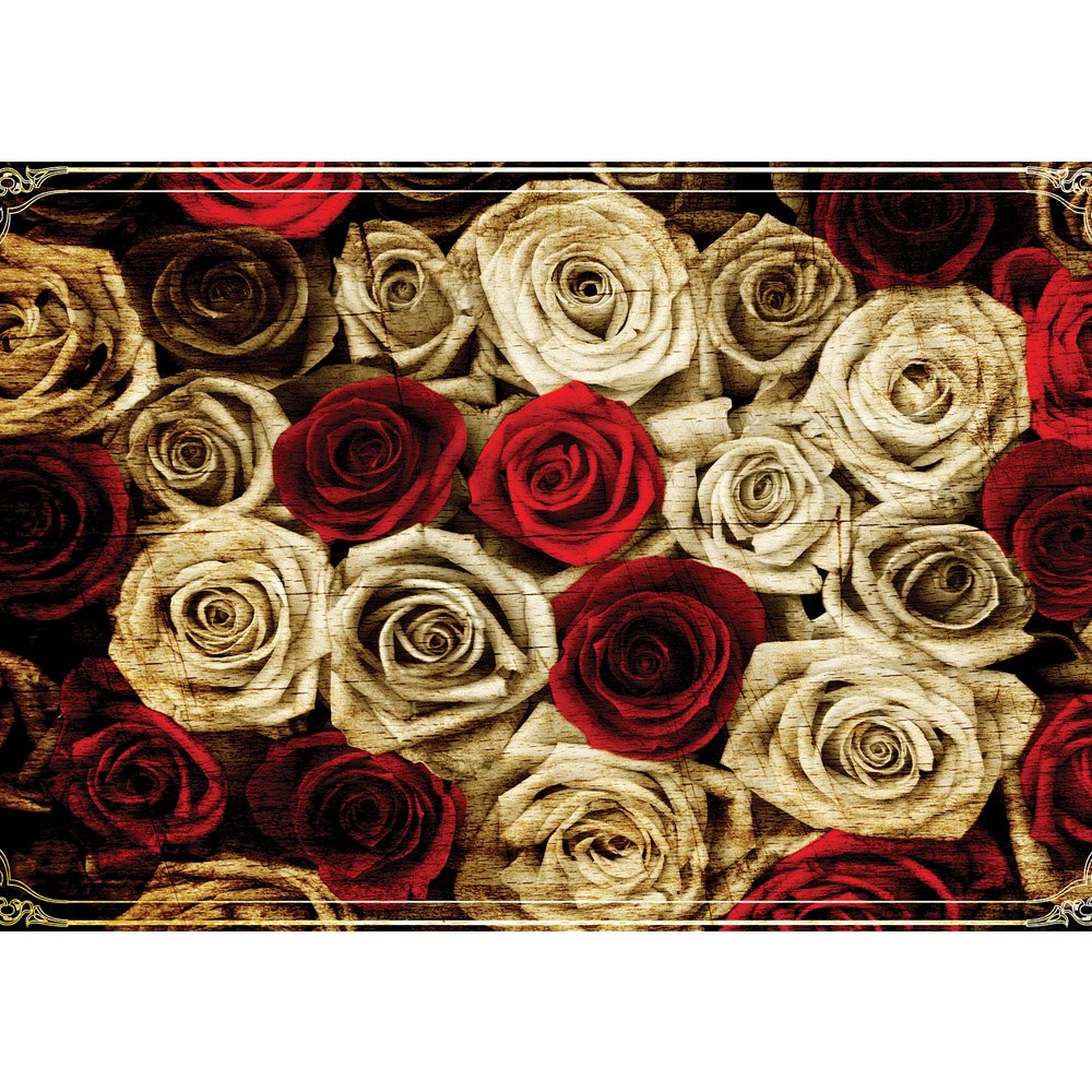 Grijze Rozen - HD Wallpaper 