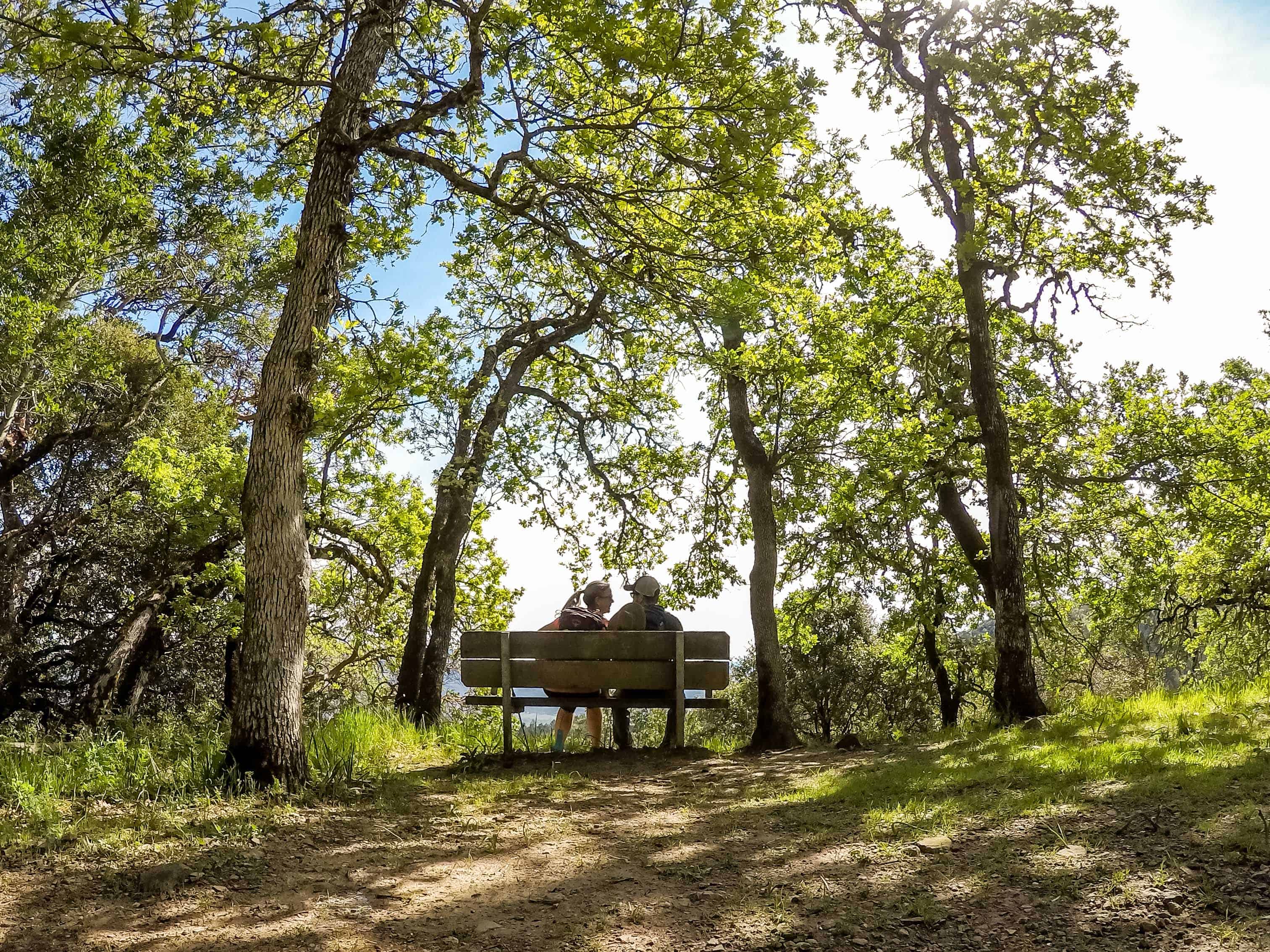 Grove - HD Wallpaper 