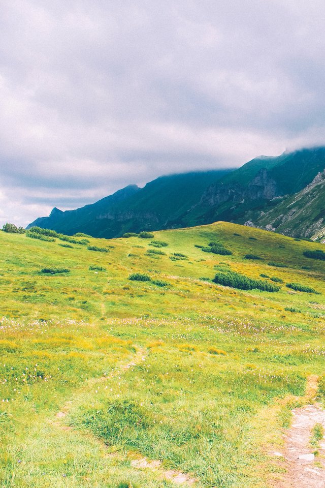 Hiking Trail, Hike Path, Trail, Pathway, Path, Nature - Your Own Instructor - HD Wallpaper 