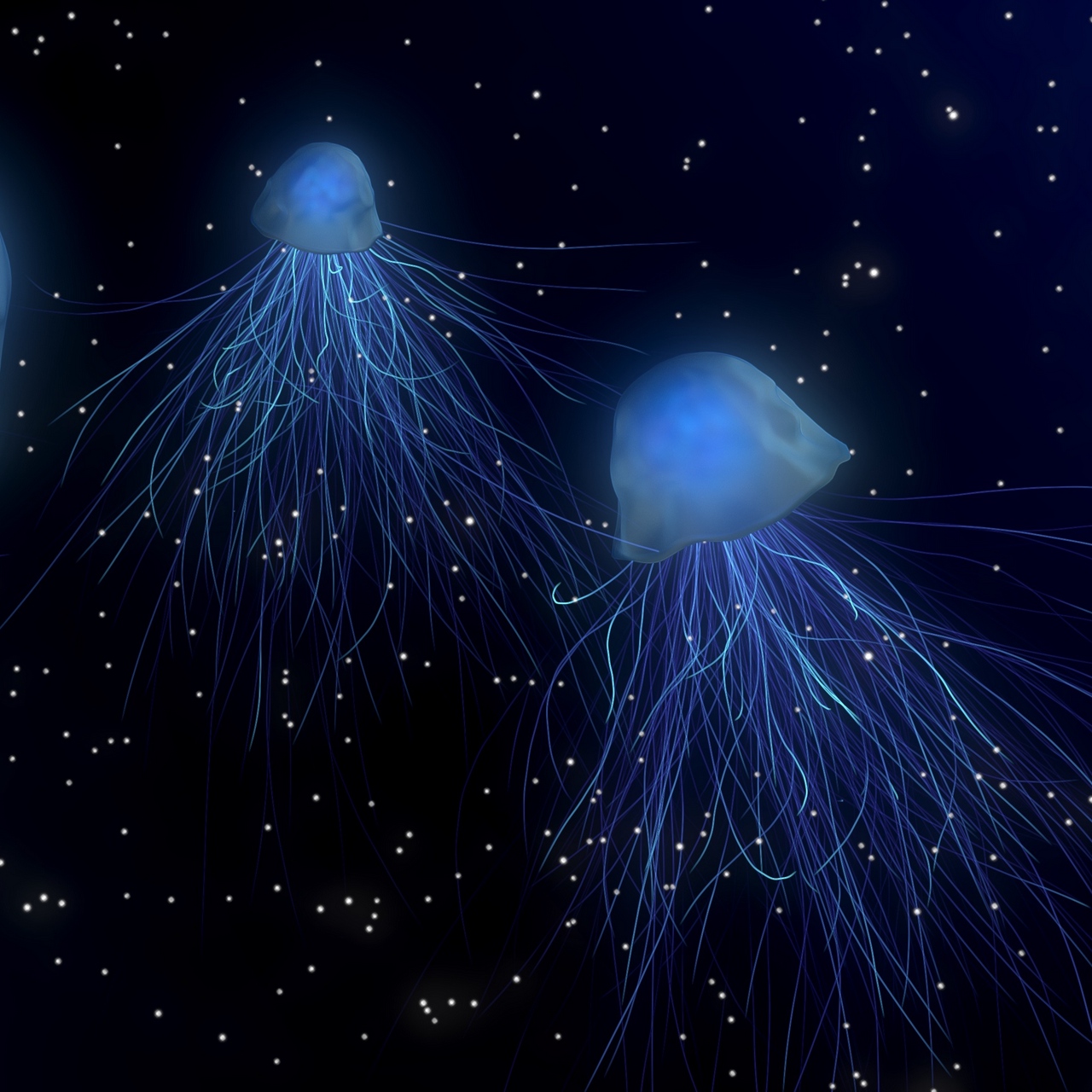 Wallpaper Jellyfish, Abstract, Space, Underwater World - Night - HD Wallpaper 
