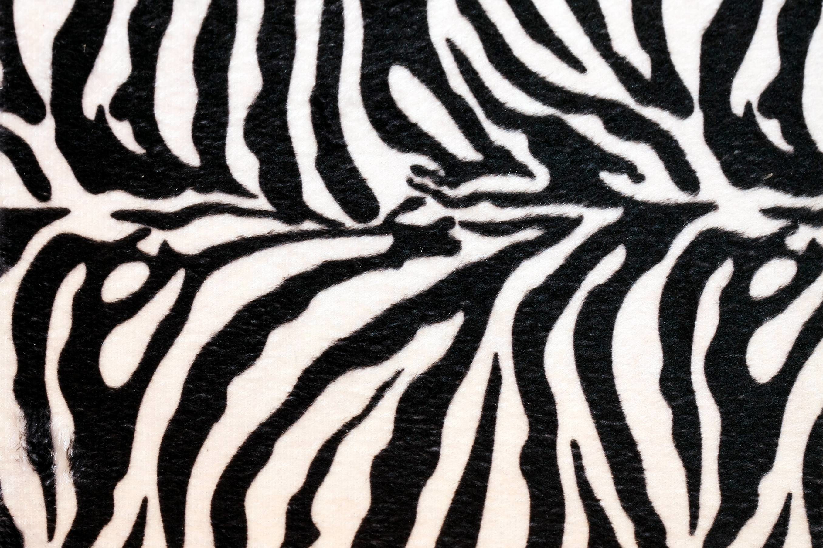 Animal Print Desktop Wallpaper Background - Zebra Print Background - HD Wallpaper 