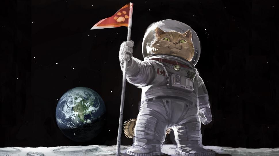 Cartoons Cat Astronaut On The Moon Wallpaper,cartoons - HD Wallpaper 
