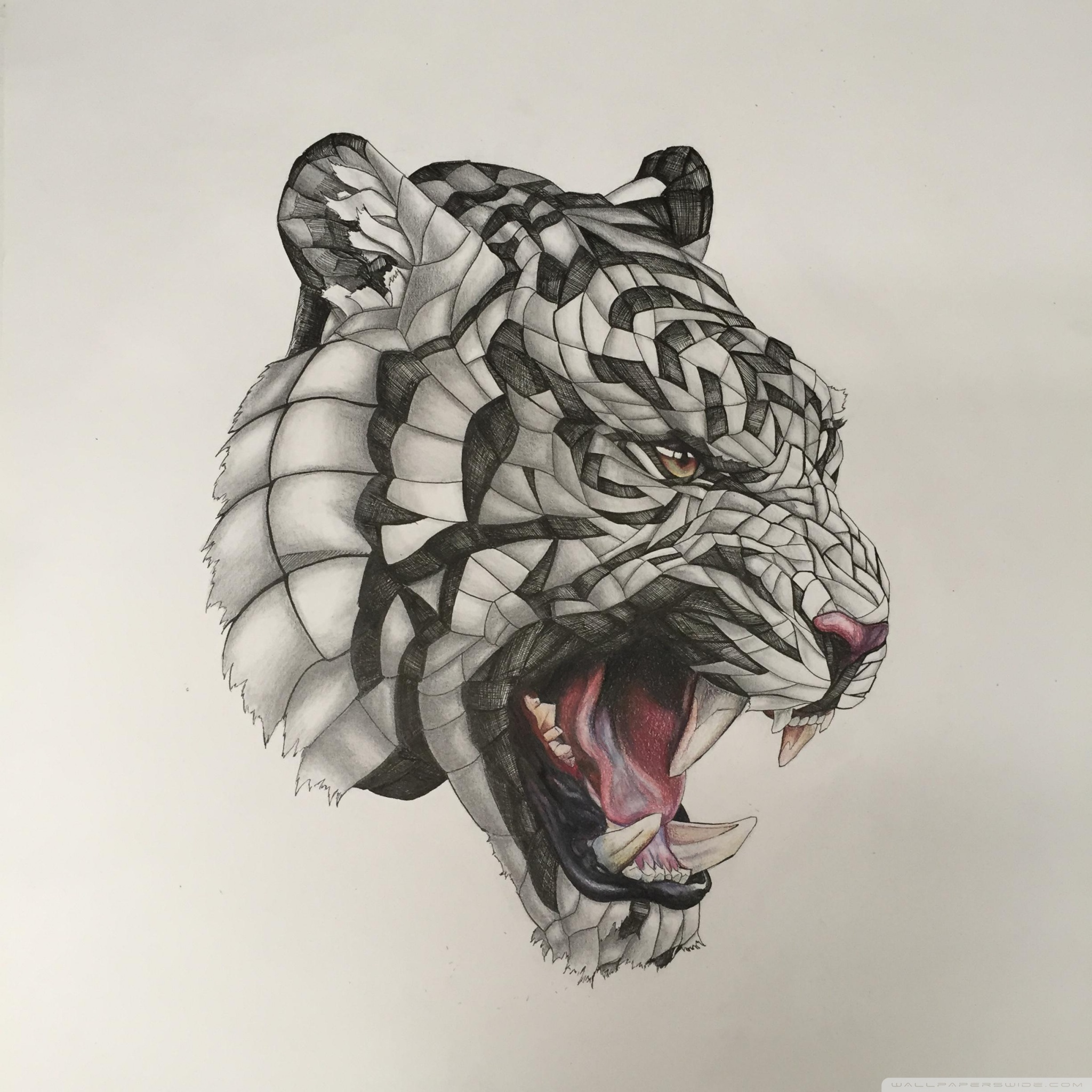Wrapped Tiger Drawing - HD Wallpaper 