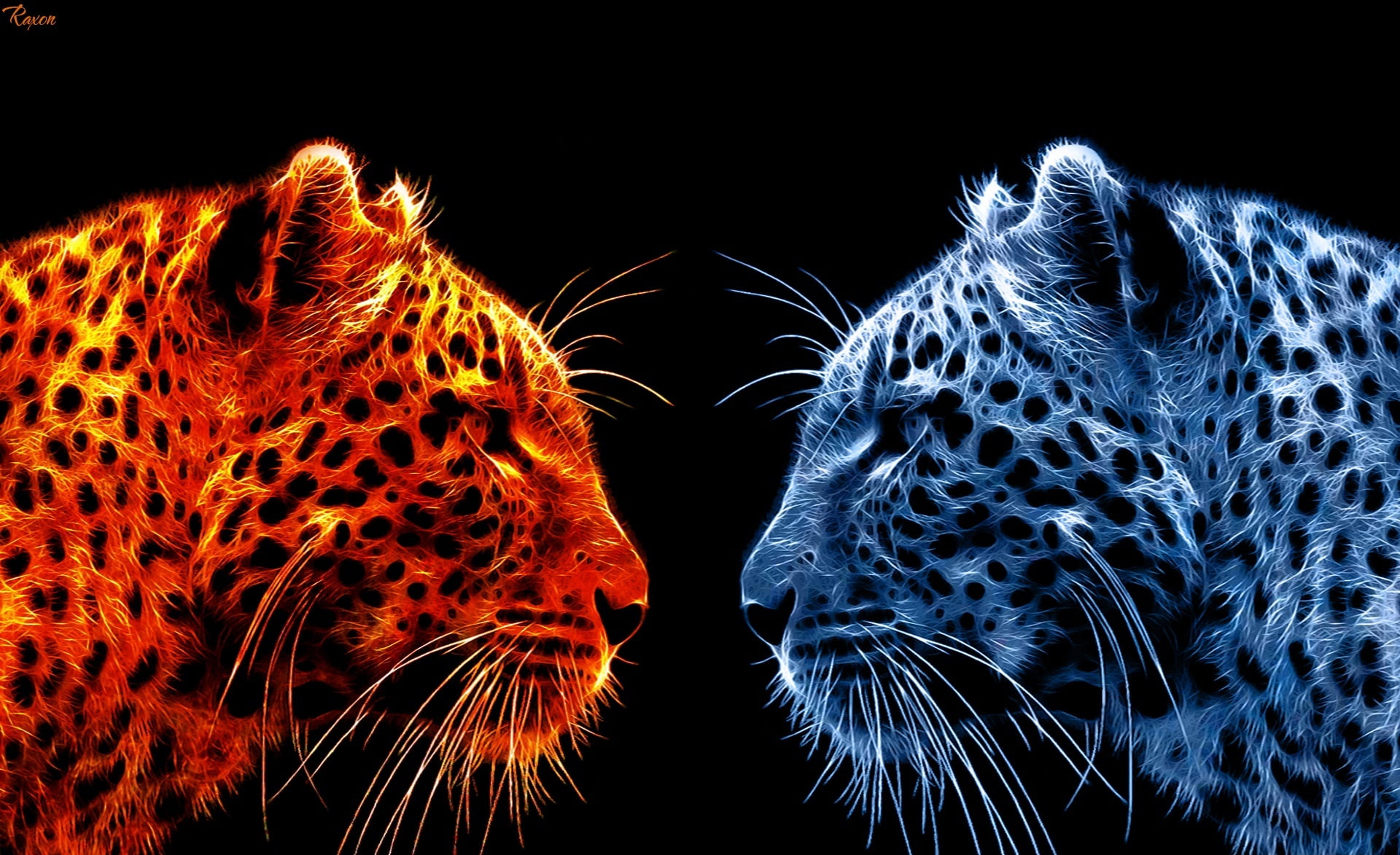 Animals Fire And Ice - HD Wallpaper 